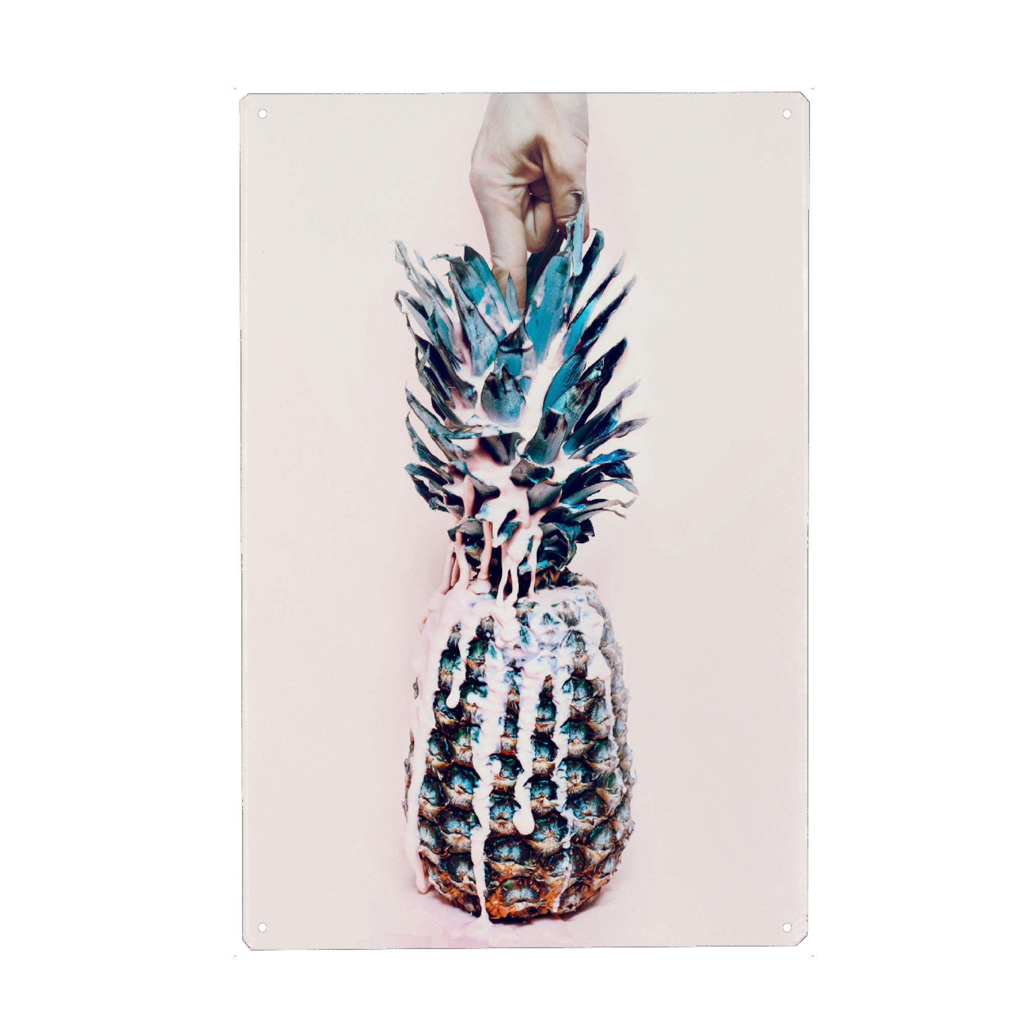 Metall Poster "Juicy Pineapple" artboxONE - Essen & Trinken,Essen & Trinken - Ananas,Süß,Essen,Küche,Obst,Früchte,Exotisch - Blechschild