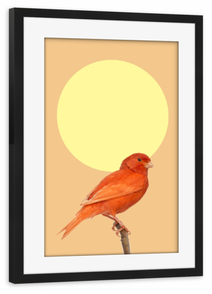 Poster mit Rahmen schwarz "Japanischer Sonnenvogel" artboxONE - Natur,Tiere - Japan,Sonne,Vogel,Ast