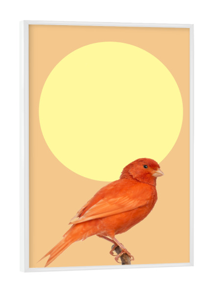 Poster mit weißem Rahmen "Japanischer Sonnenvogel" artboxONE - Natur,Tiere - Japan,Sonne,Vogel,Ast