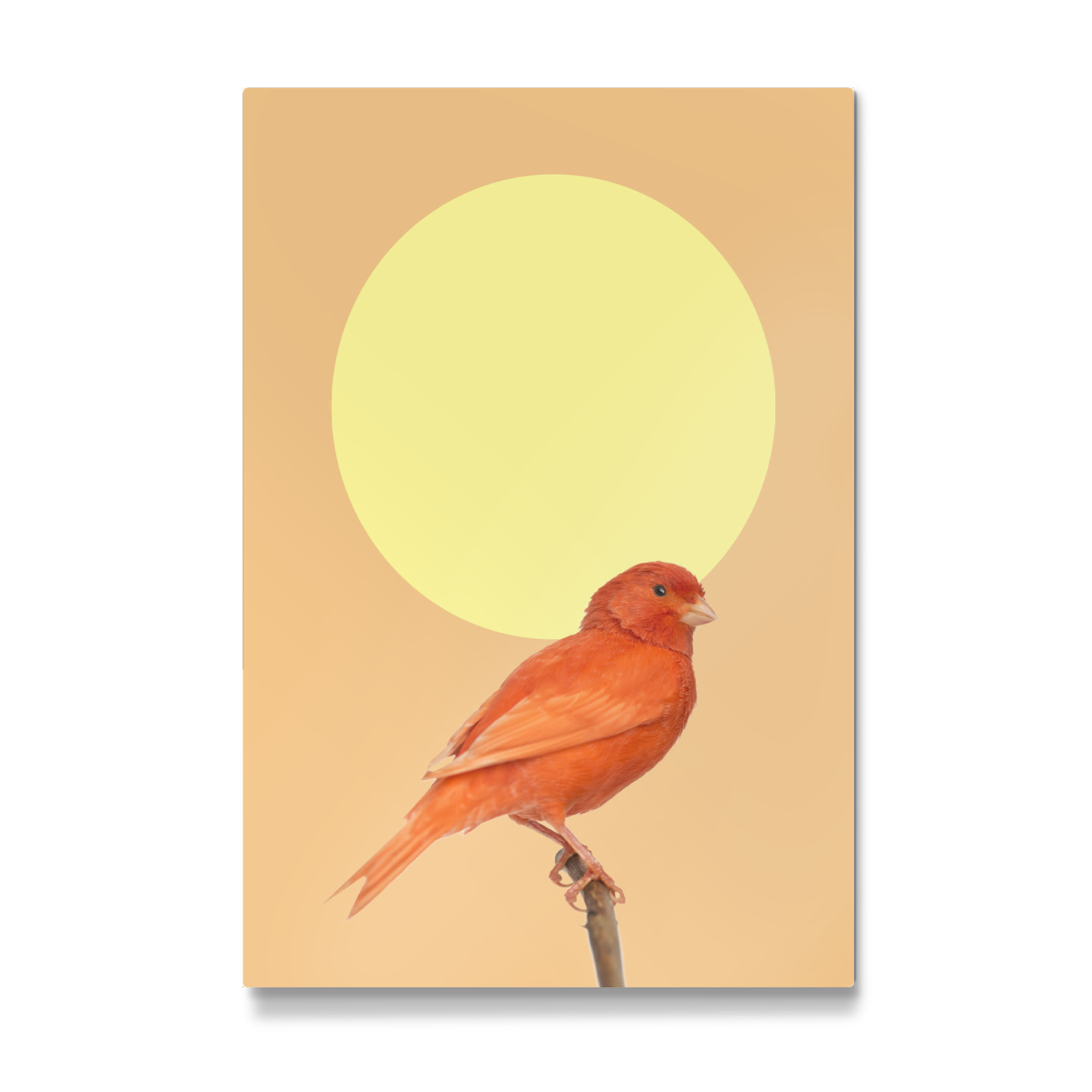 Galerie-Print "Japanischer Sonnenvogel" 75x50 cm artboxONE