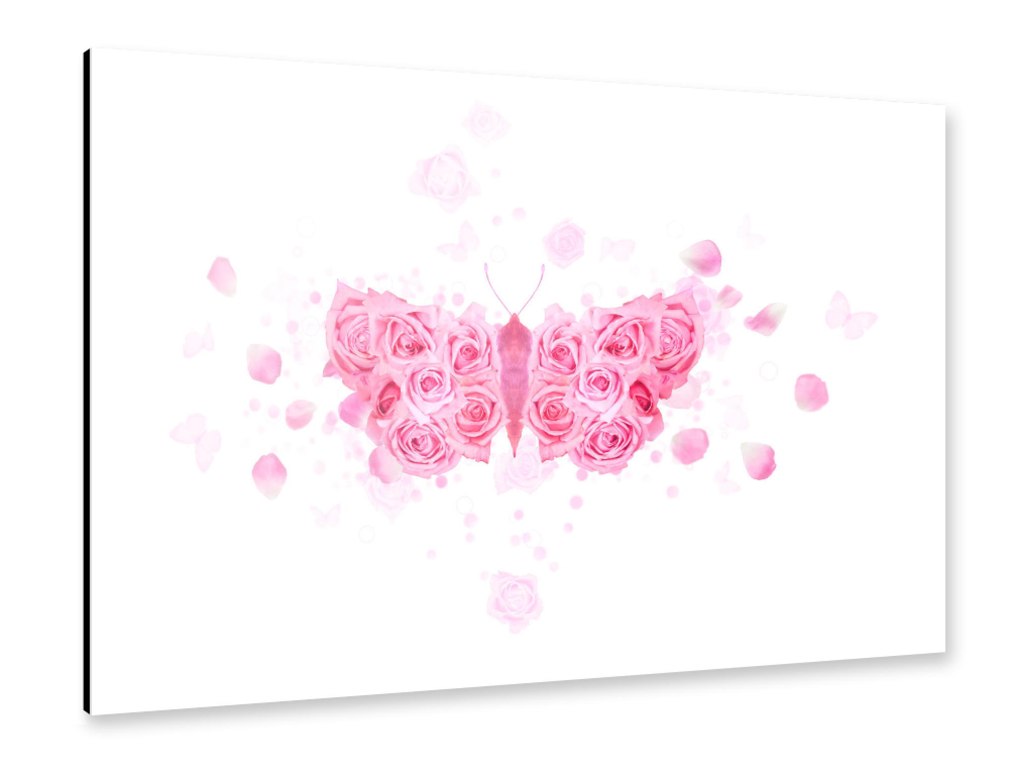 Alu-Dibond "Pink Rose Butterfly" 30x20 cm artboxONE