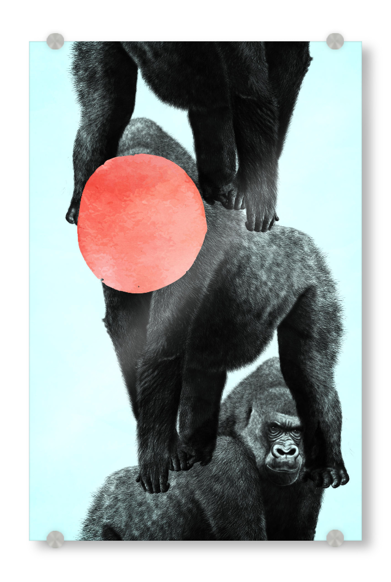 Acrylglasbild "Gorilla Party" artboxONE - Tiere,Abstrakt,Geometrie - Affen,Mond,Zoo,Kingkong