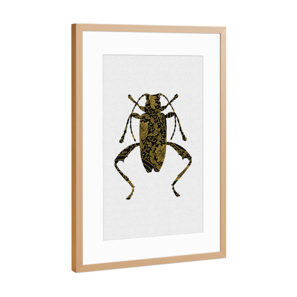 Poster mit Rahmen Kupfer "Gold Beetle II" artboxONE - Natur,Floral,Tiere,Abstrakt,Geometrie,Männer
