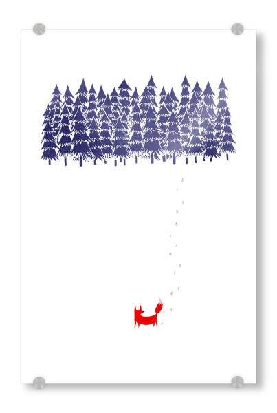 Acrylglasbild "Alone in the forest" artboxONE - Natur,Tiere - Wald,Fuchs,Bäume,Bäume,Fuchs,Wald