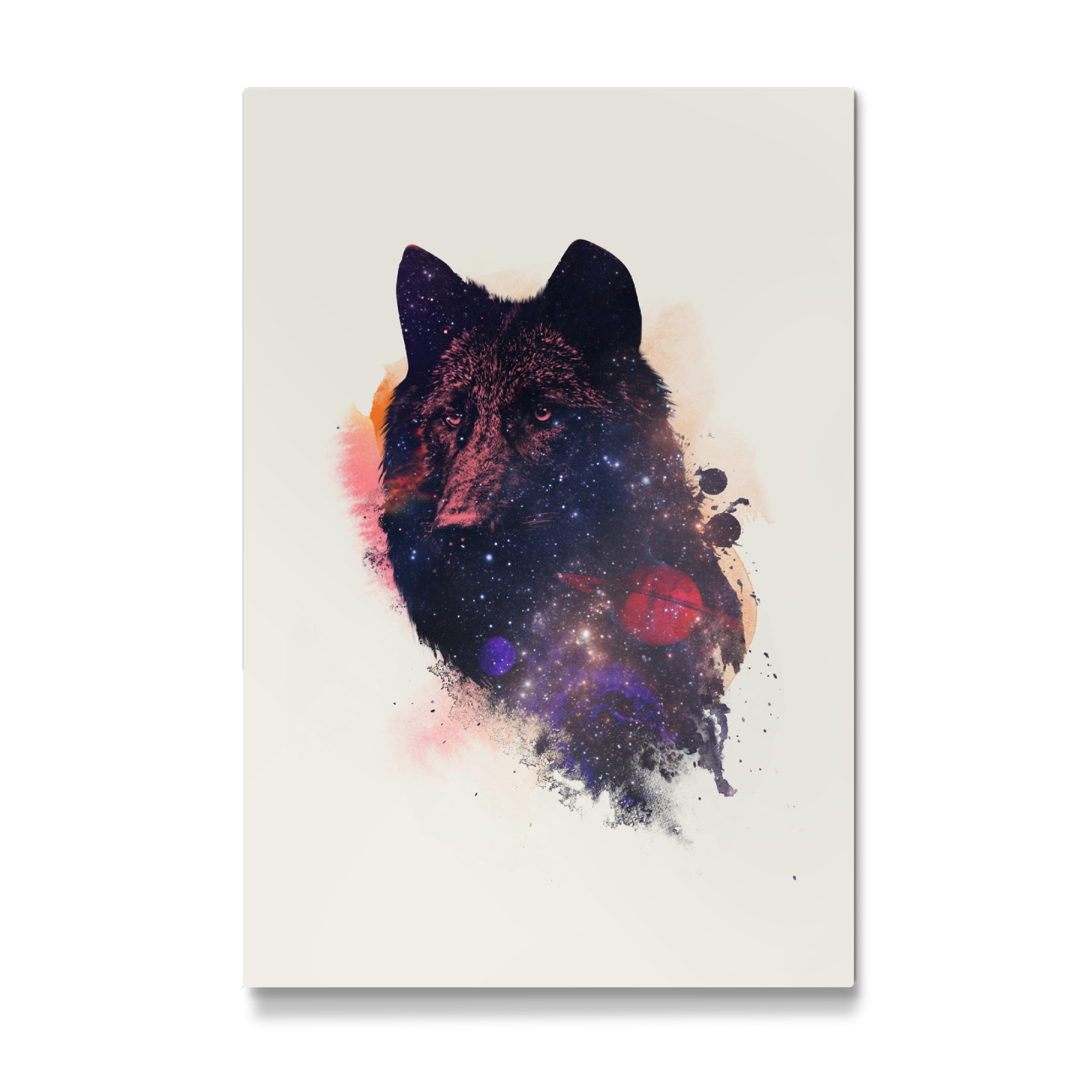 Galerie-Print "Universal wolf" 30x20 cm artboxONE