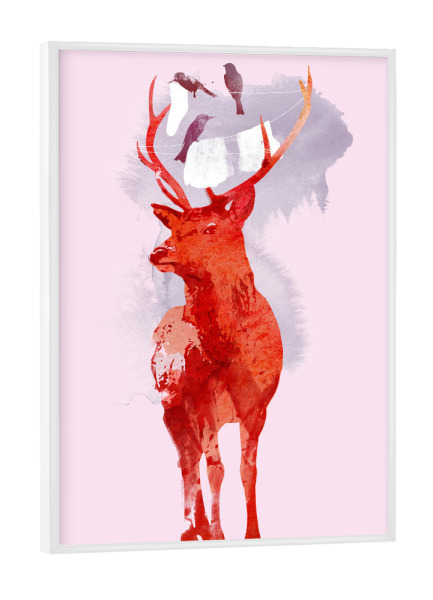 Poster mit weißem Rahmen "Useless deer" artboxONE - Natur,Tiere - Hirsche,Vögel,Reh,Vögel,Tiere,Tiere