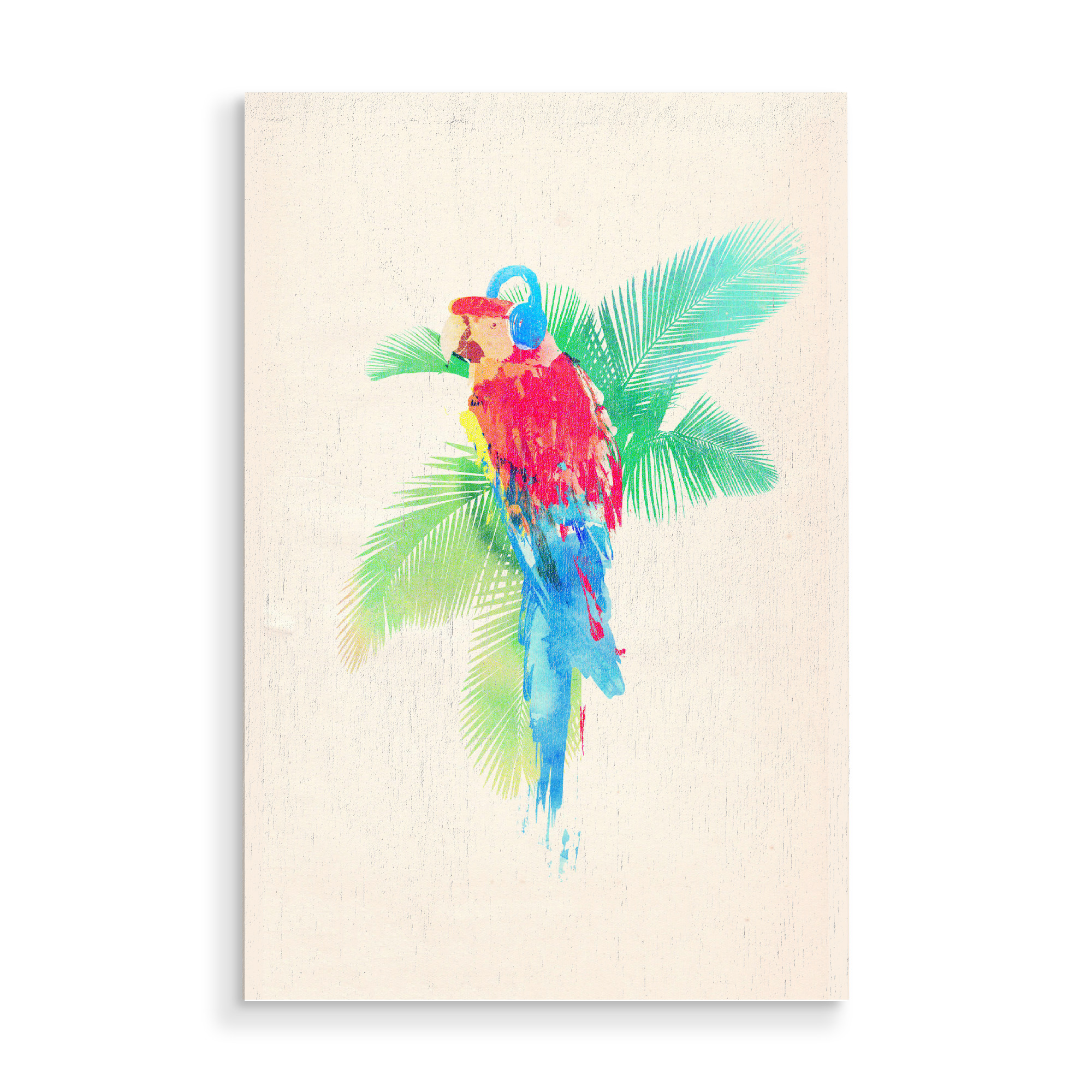 Holzbild "Tropical party" artboxONE - Natur,Tiere,Musik - Papagei,Papagei,Kopfhörer,Kopfhörer,Vogel,Vogel