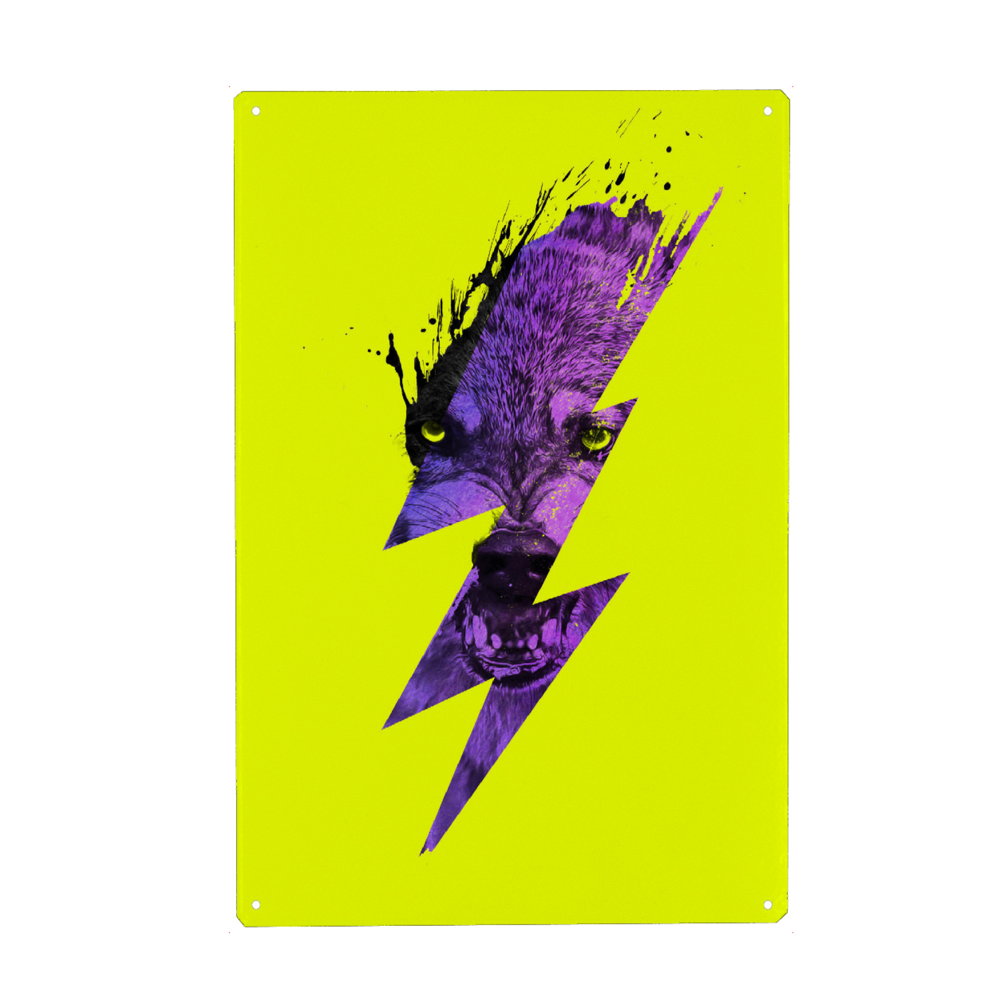 Metall Poster "Thunderwolf" artboxONE - Natur,Tiere - Wolf,Streik,Blitz,Pop art,Gelb,Lila - Blechschild