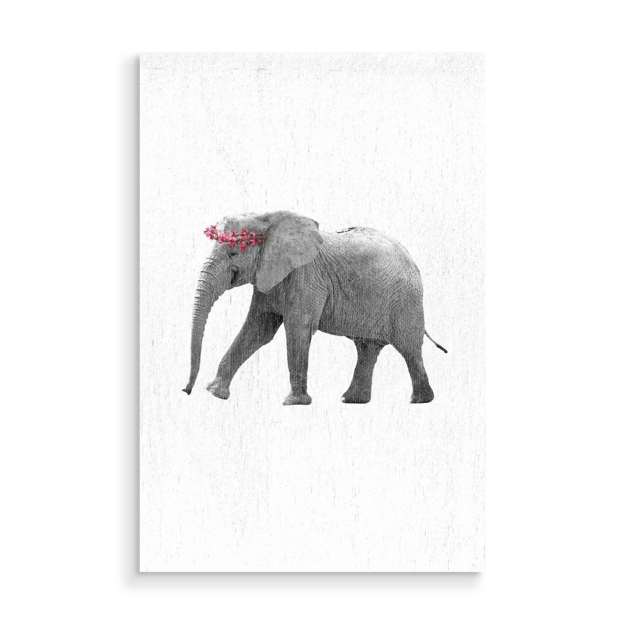 Holzbild "Dressy Elephant" artboxONE - Floral,Tiere,Schwarzweiß - Tier,Elefant,Elefant,Tier,Montage,Blumenkranz,Blume,Blume,Blumen