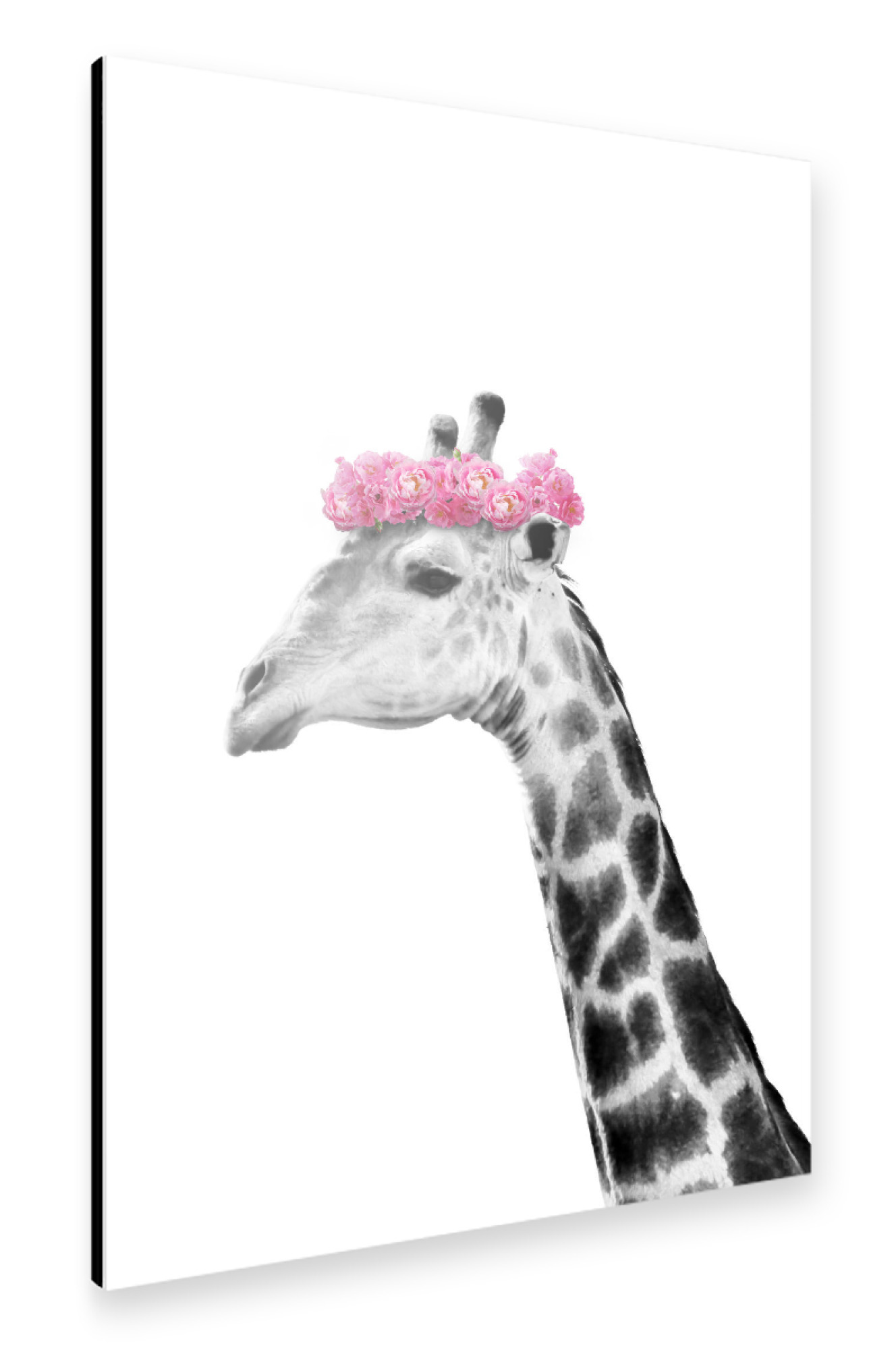 Alu-Dibond "Dressy Giraffe" 30x20 cm artboxONE