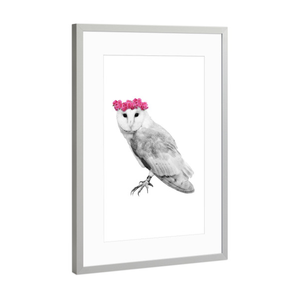Poster mit Rahmen Silber "Dressy Owl" artboxONE - Floral,Tiere,Schwarzweiß