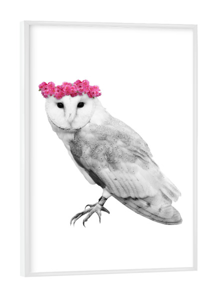 Poster mit weißem Rahmen "Dressy Owl" artboxONE - Floral,Tiere,Schwarzweiß