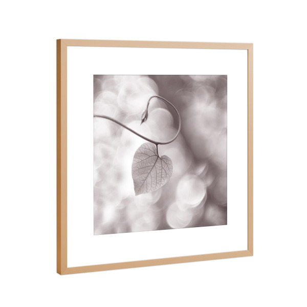 Poster mit Rahmen Kupfer "Mein Herzblatt" artboxONE - Floral,Floral,Schwarzweiß - Herzblatt