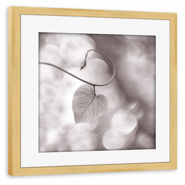Poster mit Rahmen kiefer "Mein Herzblatt" artboxONE - Floral,Floral,Schwarzweiß - Herzblatt