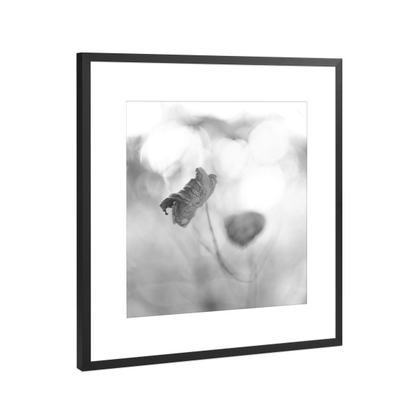 Poster mit Rahmen Schwarz (Metallic) "Herbstblatt" artboxONE - Natur,Floral,Schwarzweiß - Herbst