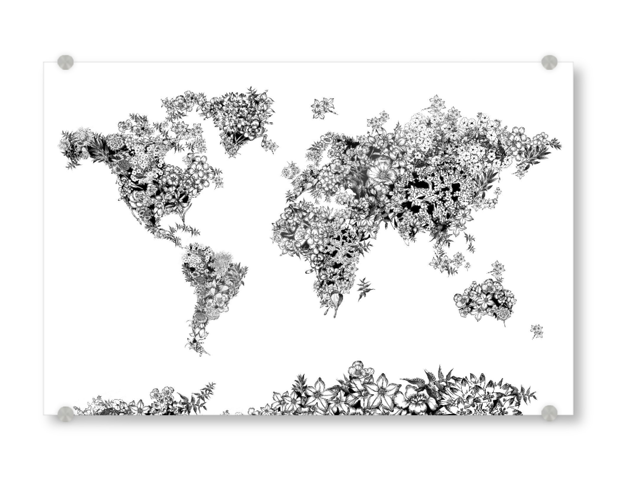 Acrylglasbild "World map floral 2" artboxONE - Floral,Abstrakt,Schwarzweiß