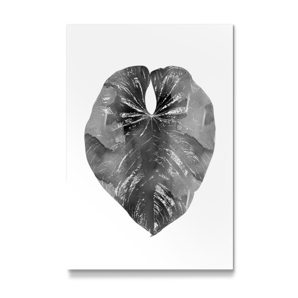Galerie-Print "Jungle Leaf" 30x20 cm artboxONE