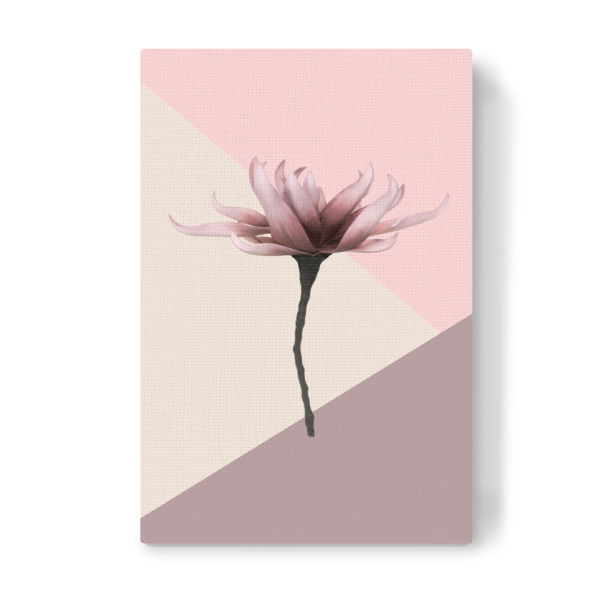 Leinwandbild "Aesthetic Flower" artboxONE - Natur,Floral,Geometrie - Blume,Mit blumen,Natur,Geometrie,Minimalismus,Blume,Zart,Natur