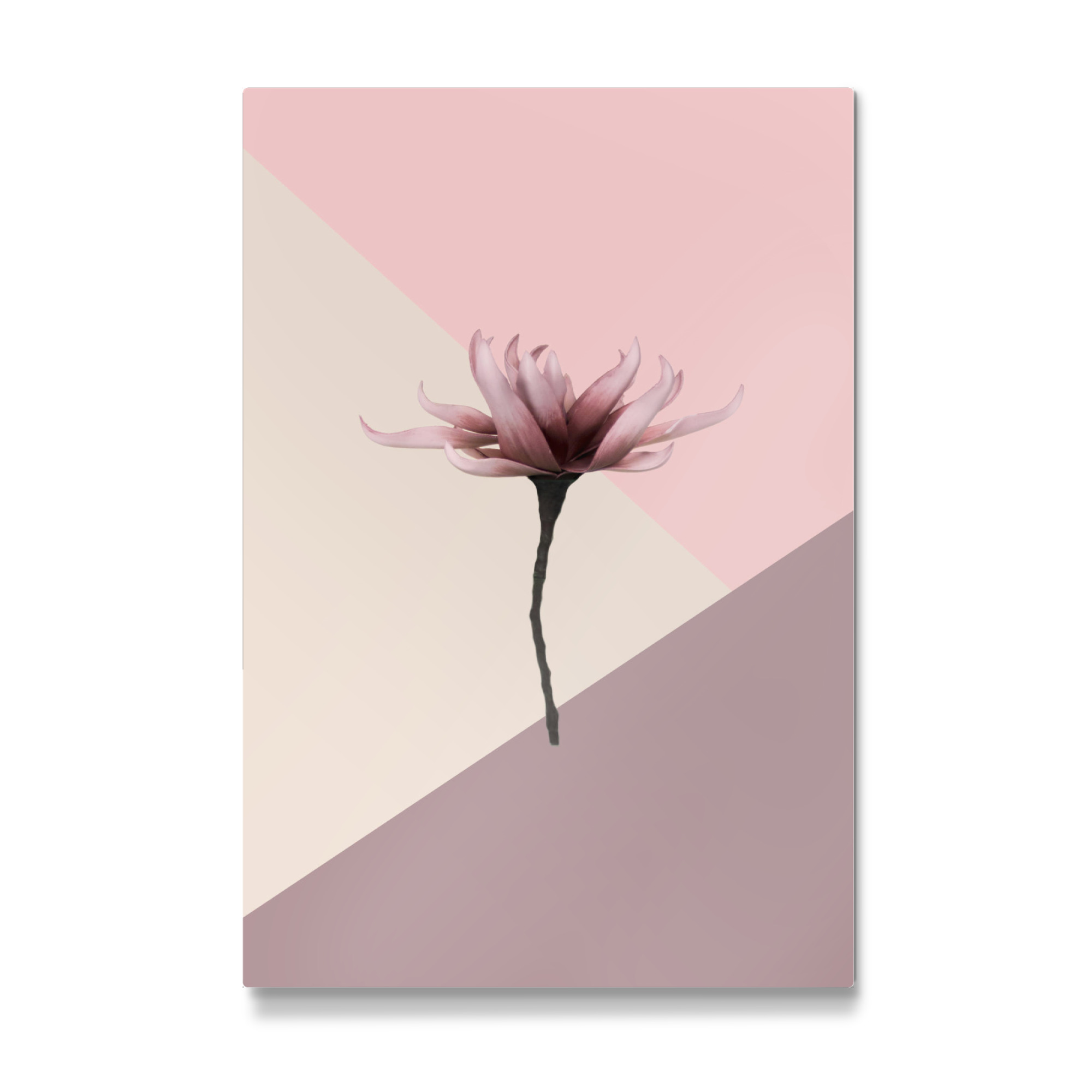 Galerie-Print "Aesthetic Flower" 75x50 cm artboxONE