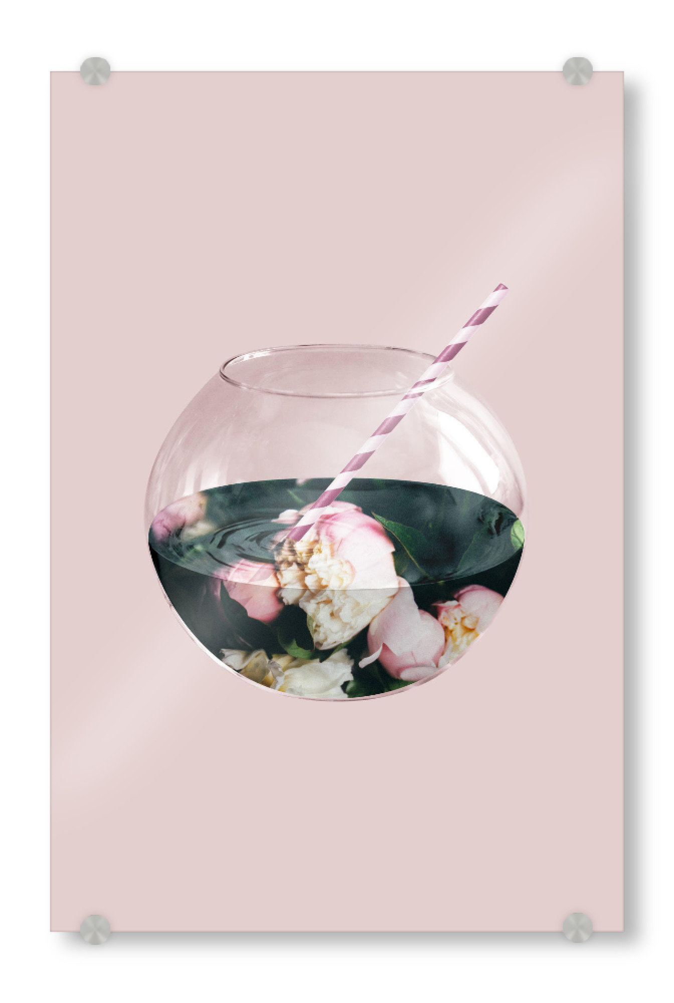 Acrylglasbild "Blumenaquarium" artboxONE - Natur,Floral,Essen & Trinken - Strohhalm,Aquarium,Blumen