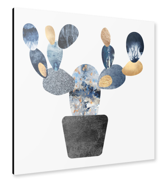 Alu-Dibond "Blue & Gold Cactus" 30x30 cm artboxONE