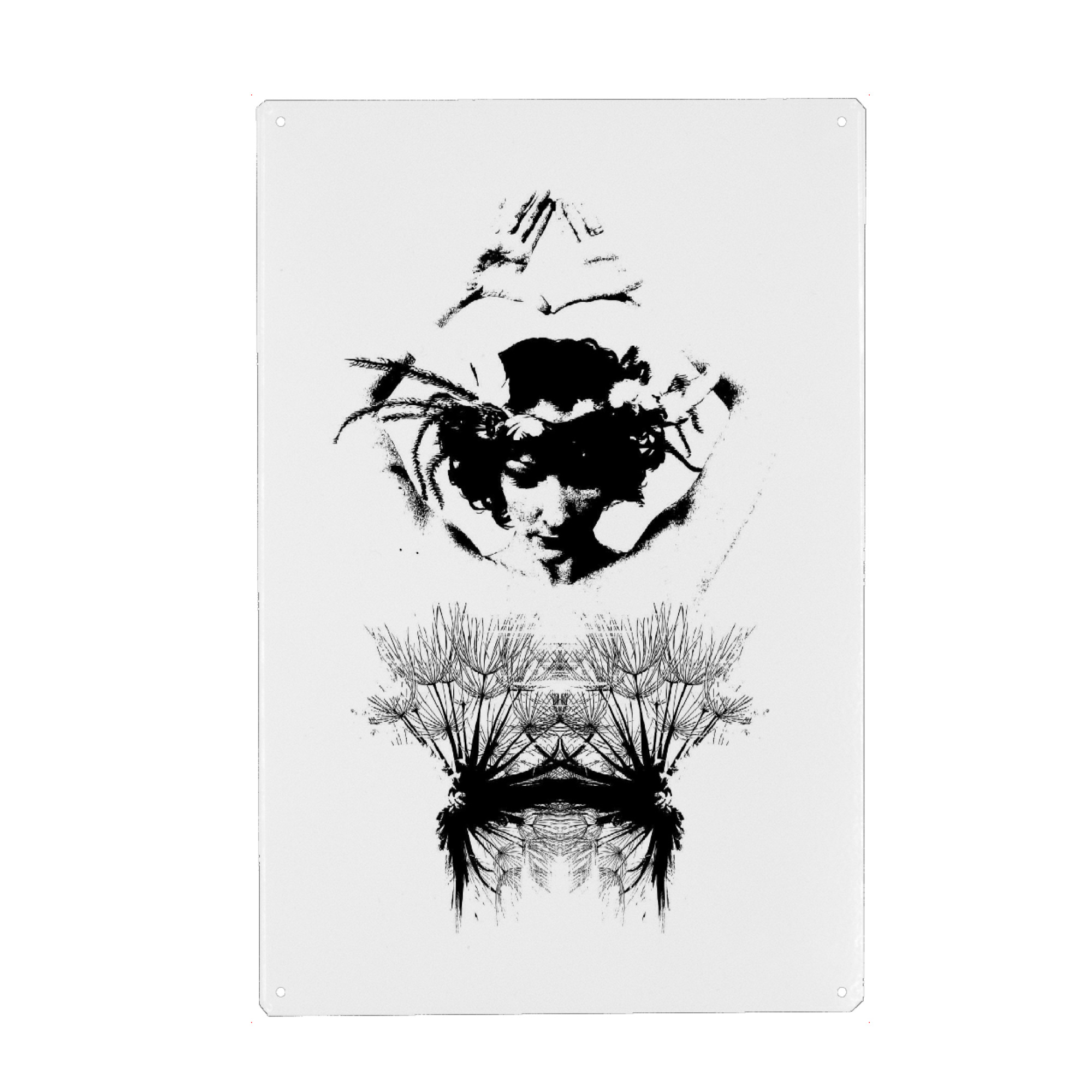 Metall Poster "Zephyr" artboxONE - Natur,Schwarzweiß
