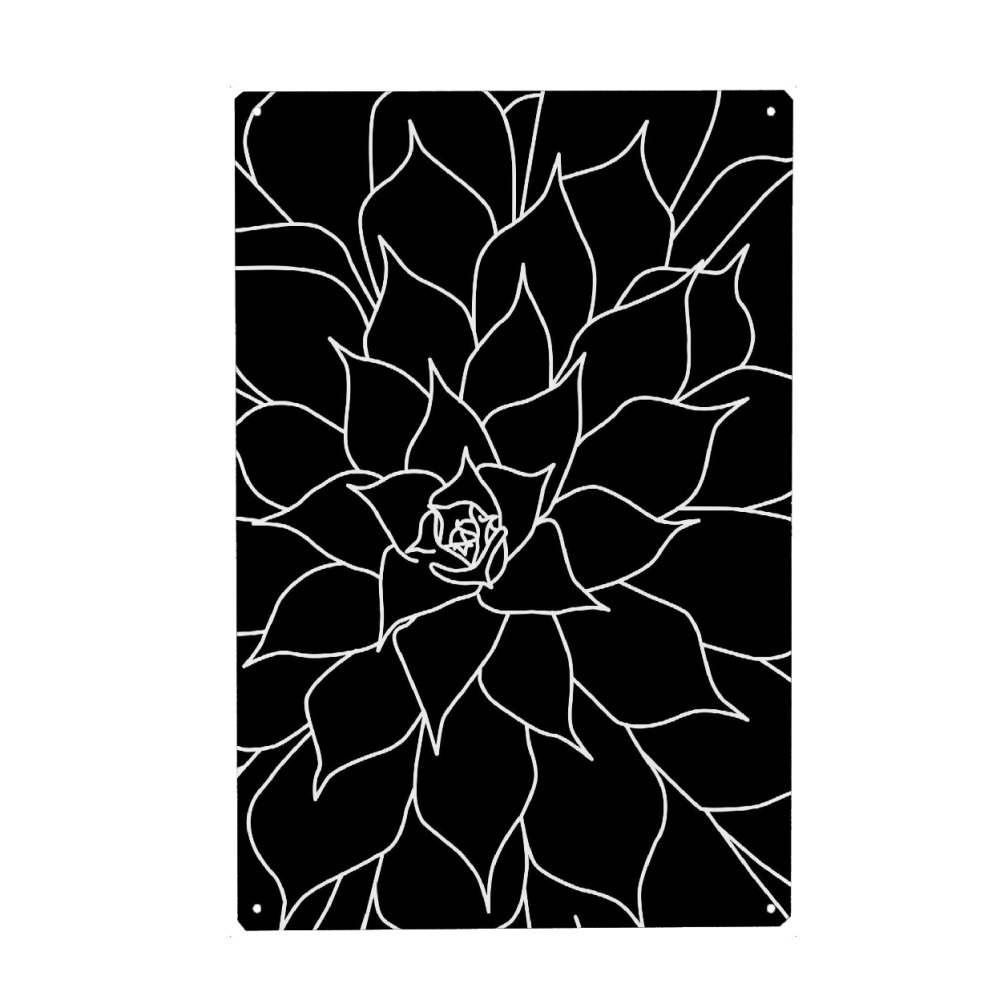 Metall Poster "Black and White Succulent" artboxONE - Natur,Schwarzweiß
