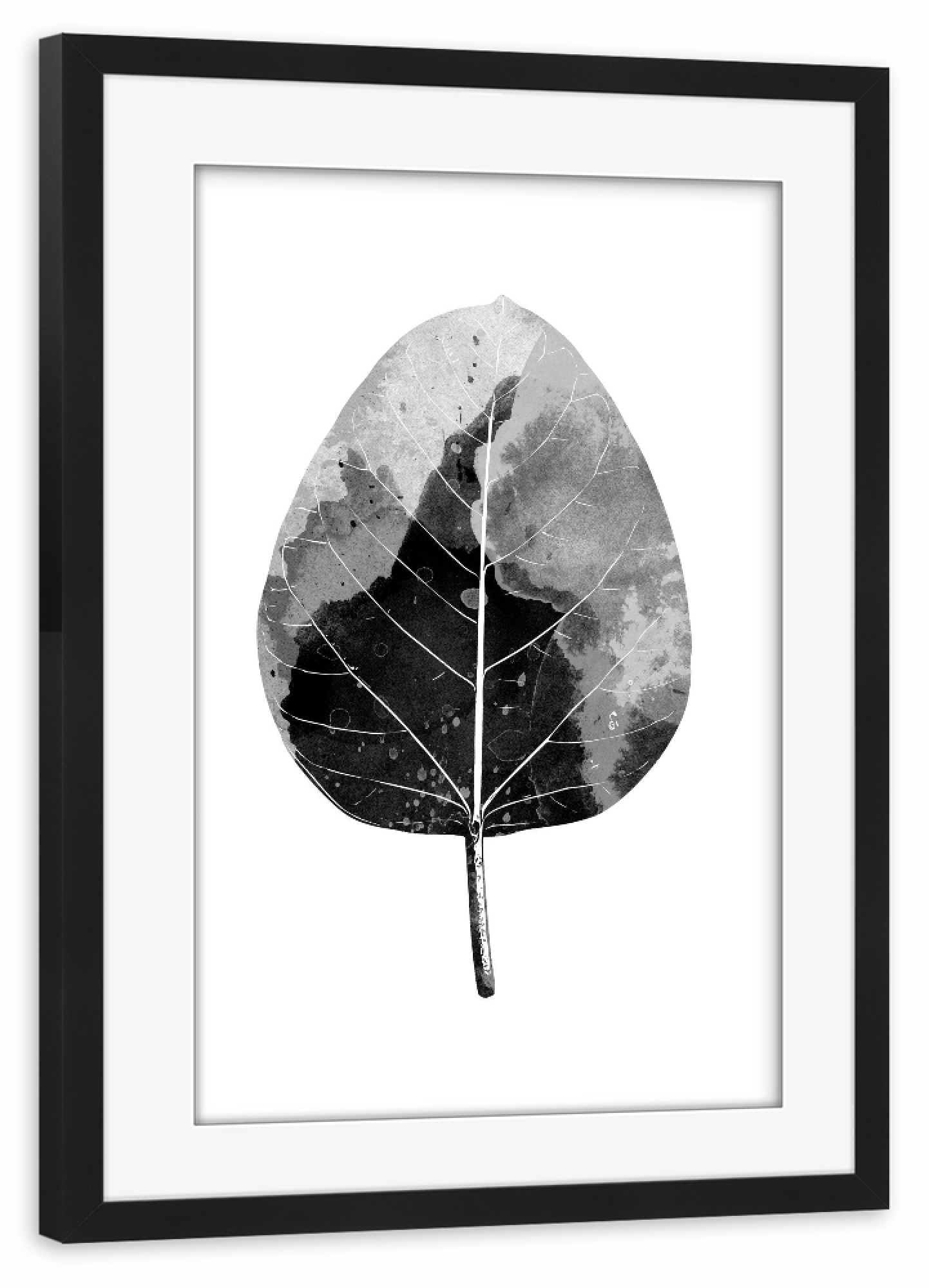 Poster mit Rahmen schwarz "Monochrome Leaf" artboxONE - Natur,Schwarzweiß