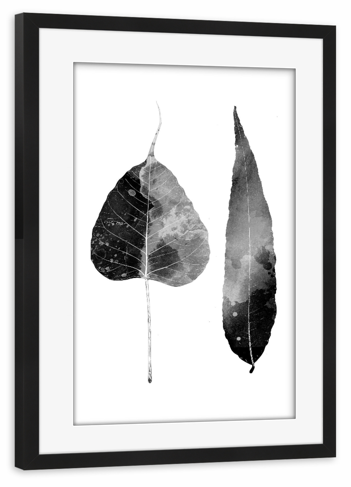 Poster mit Rahmen schwarz "Two Watercolor Leaves" artboxONE - Natur,Schwarzweiß
