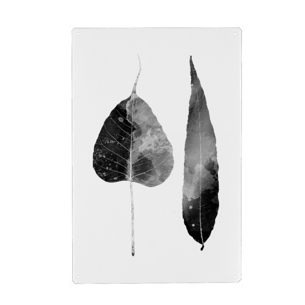 Metall Poster "Two Watercolor Leaves" artboxONE - Natur,Schwarzweiß