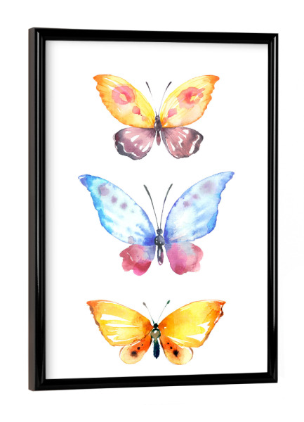 Poster mit schwarzem Rahmen "Butterflies" artboxONE - Natur - Aquarell schmetterlinge