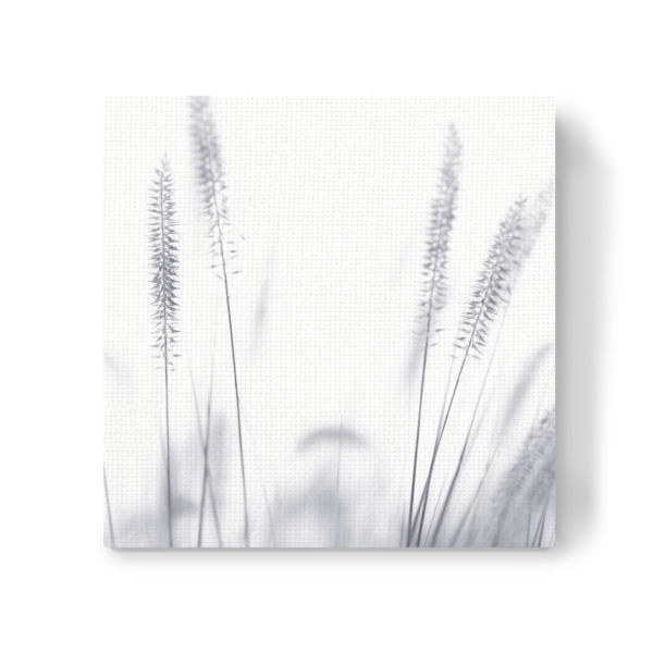 Leinwandbild "Grashalme, Arbeit II" artboxONE - Natur,Floral,Schwarzweiß - Grashalme,Schwarzweiß,Mood,Wiese,Natur
