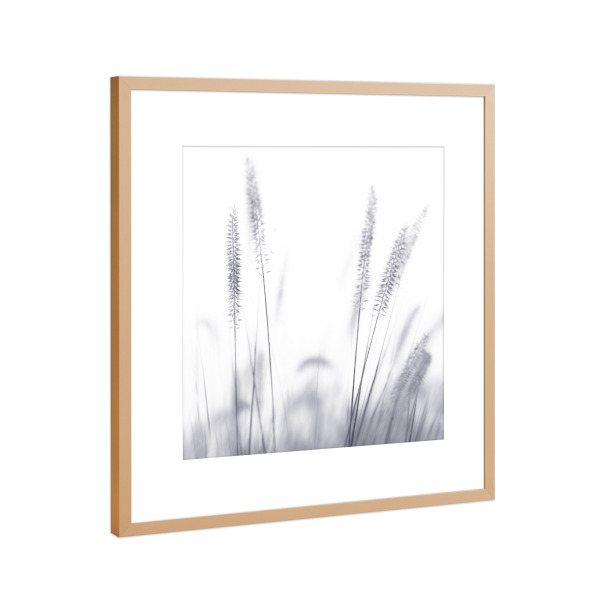 Poster mit Rahmen Kupfer "Grashalme, Arbeit II" artboxONE - Natur,Floral,Schwarzweiß - Grashalme,Schwarzweiß,Mood,Wiese,Natur