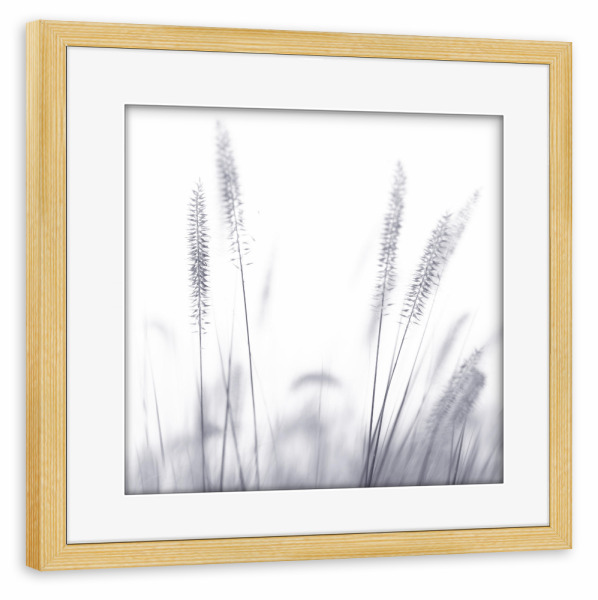 Poster mit Rahmen kiefer "Grashalme, Arbeit II" artboxONE - Natur,Floral,Schwarzweiß - Grashalme,Schwarzweiß,Mood,Wiese,Natur