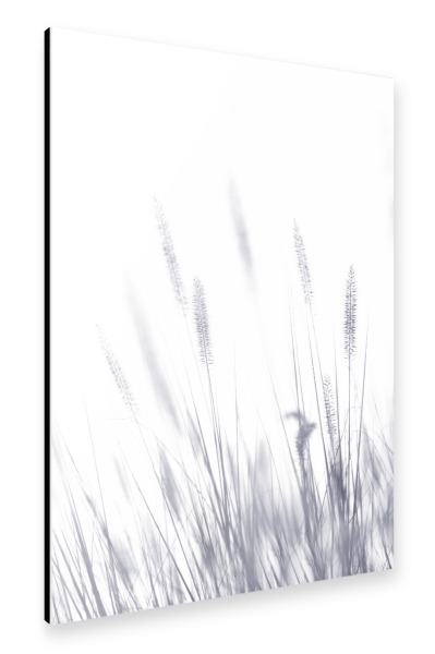Alu-Dibond "Grashalme, Arbeit I" 30x20 cm artboxONE