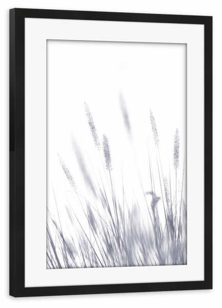 Poster mit Rahmen schwarz "Grashalme, Arbeit I" artboxONE - Natur,Floral,Schwarzweiß - Herbst,Grashalme,Schwarzweiß,Mood,Wiese,Natur