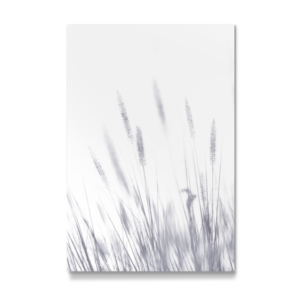 Galerie-Print "Grashalme, Arbeit I" 30x20 cm artboxONE