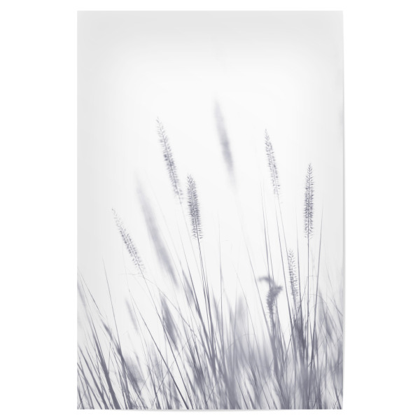 Poster 30x20 cm "Grashalme, Arbeit I" artboxONE - Natur,Floral,Schwarzweiß - Herbst,Grashalme,Schwarzweiß,Mood,Wiese,Natur