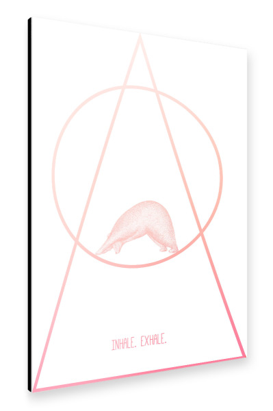 Alu-Dibond "Yoga Bär" 30x20 cm artboxONE