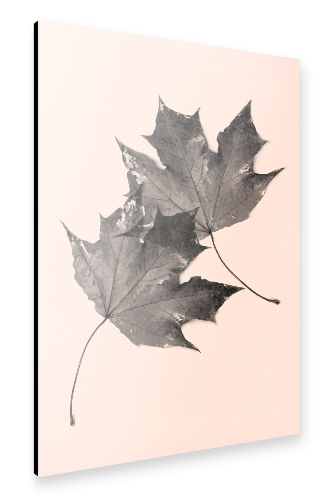 Alu-Dibond "Leaves No.2" 30x20 cm artboxONE
