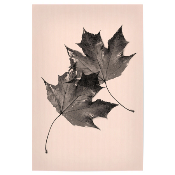 Poster "Leaves No.2" artboxONE - Natur,Abstrakt - Blatt,Blätter,Herbst,Winter,Romatisch