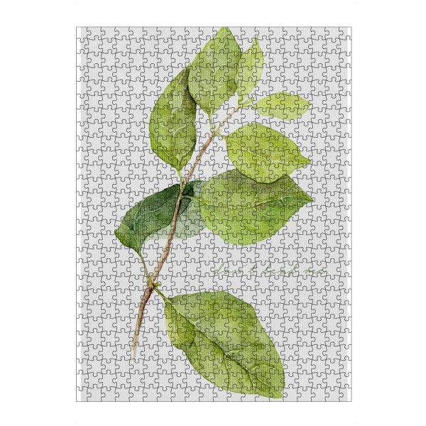 Puzzle Ravensburger "Don ́t Leaf Me" artboxONE - Typografie,Natur,Floral,Liebe - Ast,Blätter,Pflanze,Beziehung,Liebe,Spruch,Humor,Lustig - Bild ast
