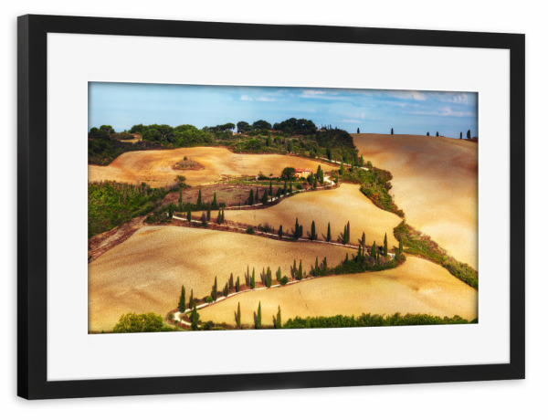 Poster mit Rahmen schwarz "Cypress trees serpentine road in Tuscany, Italy" artboxONE - Natur,Reise