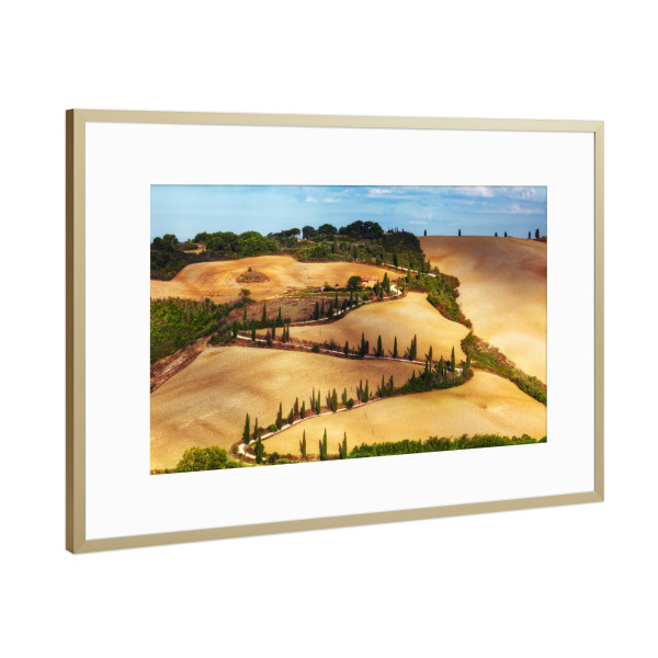 Poster mit Rahmen Gold "Cypress trees serpentine road in Tuscany, Italy" artboxONE - Natur,Reise