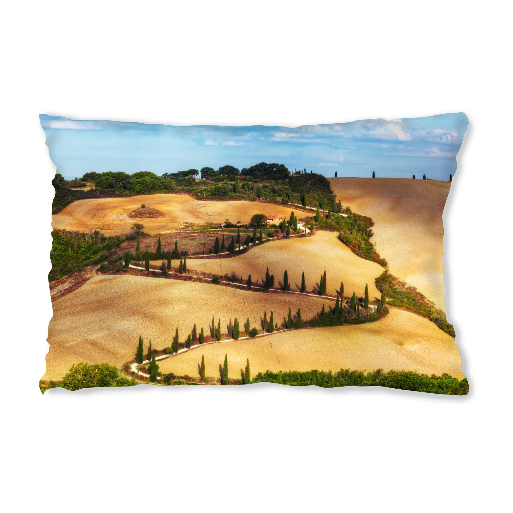Design-Kissen "Cypress trees serpentine road in Tuscany, Italy" artboxONE - Natur,Reise