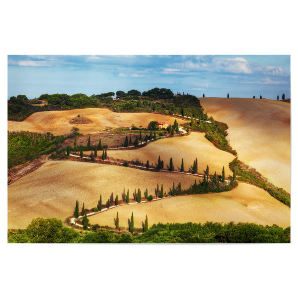 Poster "Cypress trees serpentine road in Tuscany, Italy" artboxONE - Natur,Reise