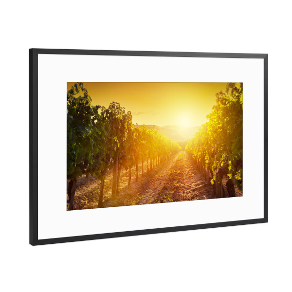 Poster mit Rahmen Schwarz (Metallic) "Vineyard wonderful landscape in Tuscany, Italy 2" artboxONE - Reise