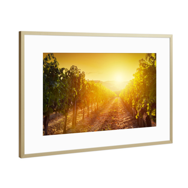 Poster mit Rahmen Gold "Vineyard wonderful landscape in Tuscany, Italy 2" artboxONE - Reise