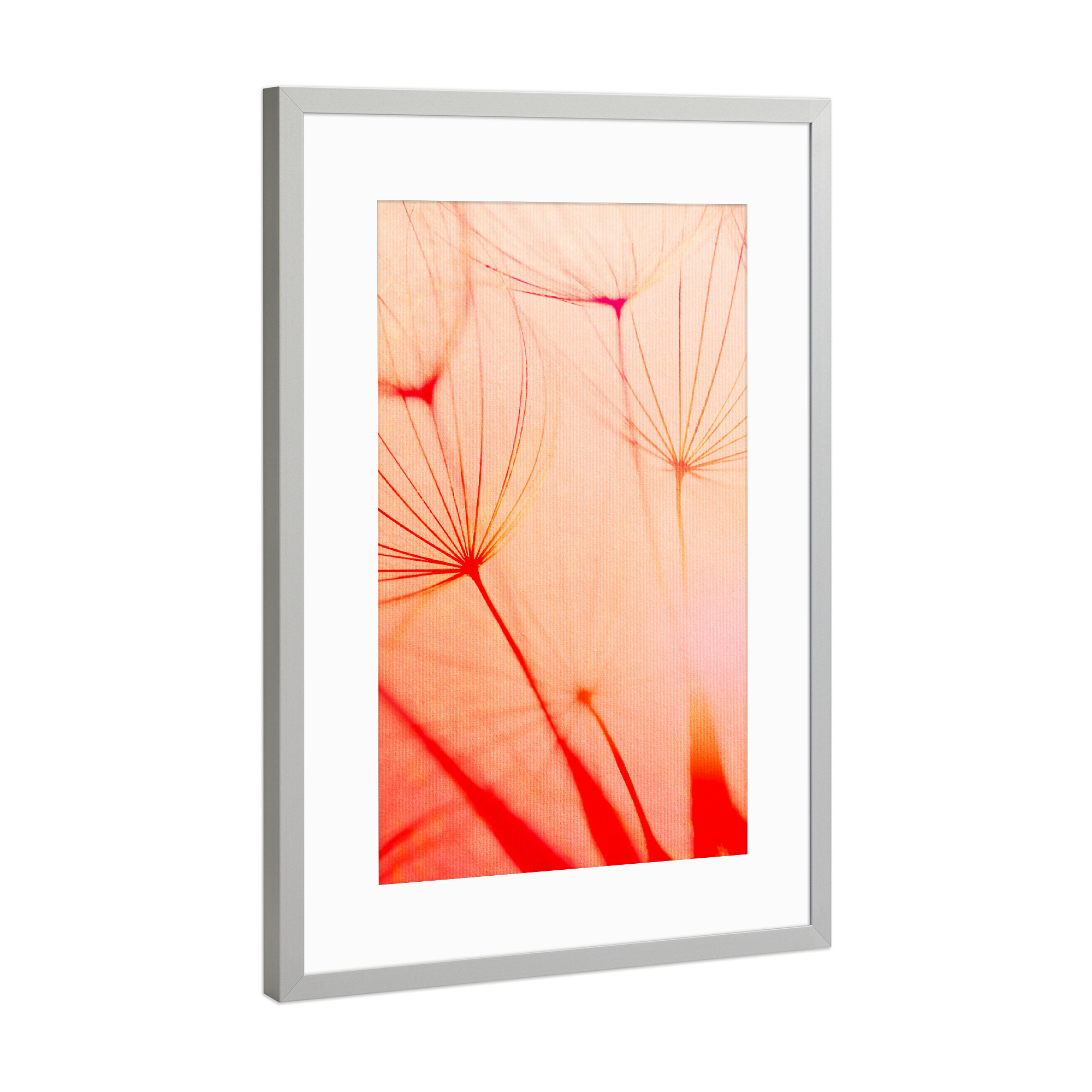 Poster mit Rahmen Silber "The Air To Breathe" artboxONE - Natur,Floral,Abstrakt,Liebe - Pusteblume,Löwenzahn,Abstrakt,Blume,Pflanze,Natur