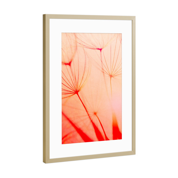 Poster mit Rahmen Gold "The Air To Breathe" artboxONE - Natur,Floral,Abstrakt,Liebe - Pusteblume,Löwenzahn,Abstrakt,Blume,Pflanze,Natur